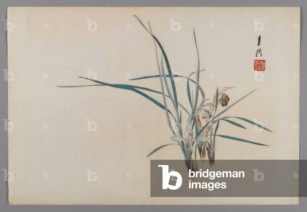 Bild von Druck "Orchideen" von Ogata Gekko