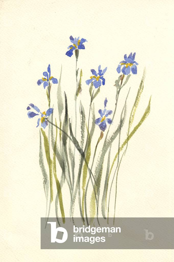 Immagine di Dipinto "Iris" 1990 di Anna Boni