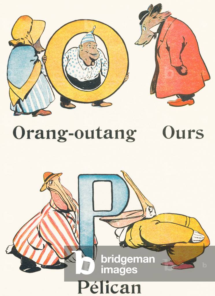 O P: Orang-Utang, Bär, Pelikan