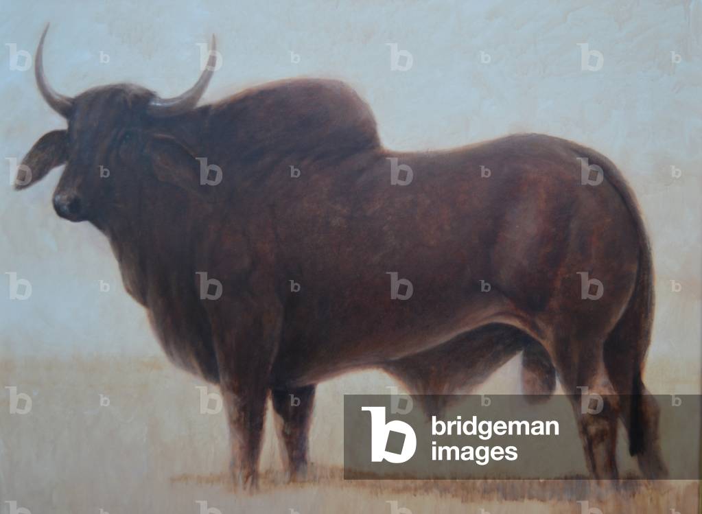 Immagine di Dipinto "Toro bramino" di Lincoln Seligman