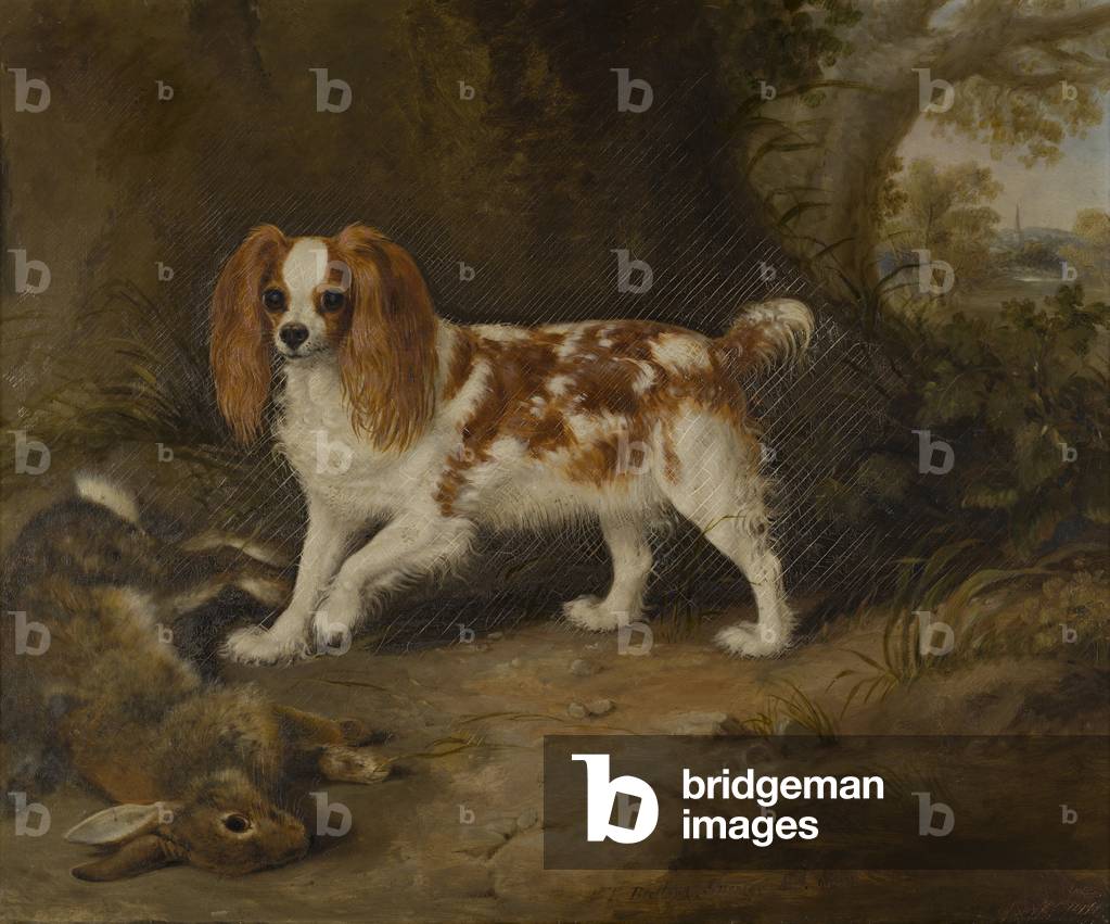 Ein Spaniel mit einem toten Hasen, um 1822-74 (Öl auf Leinwand)