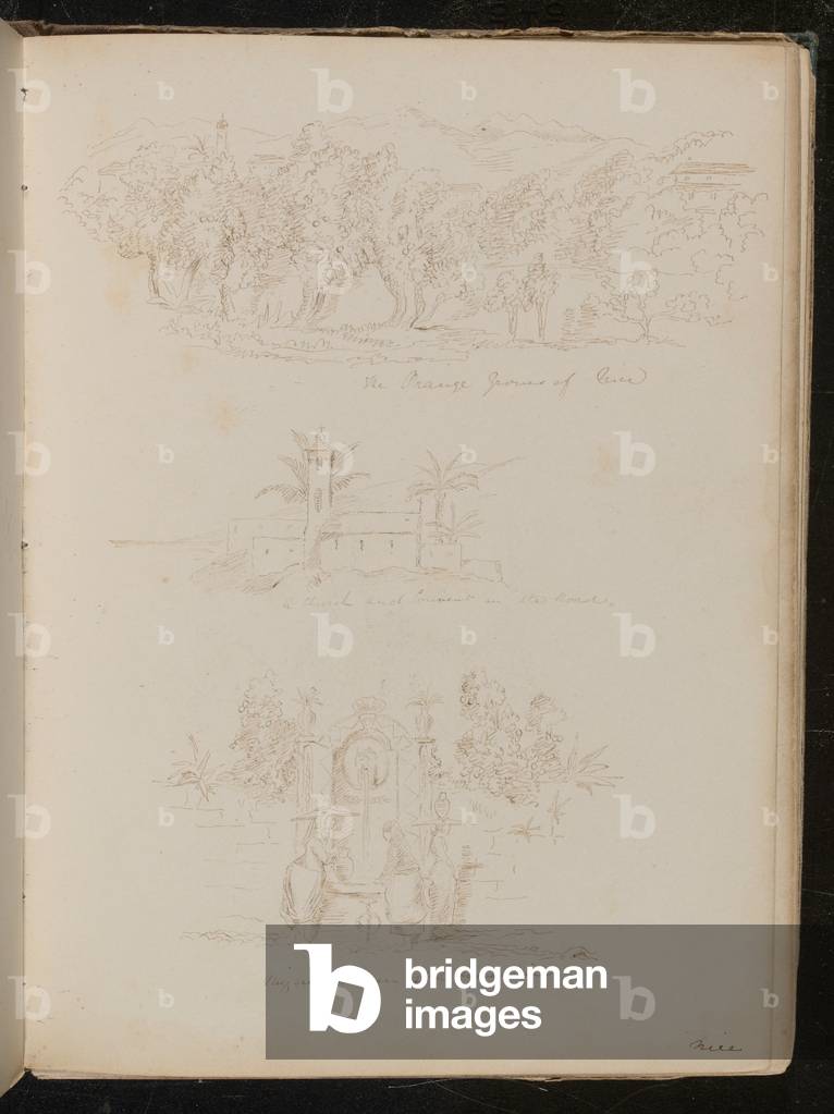 Image of Drawing depicting Study of 'the Orange growers of Nice' 1860 by Lady Butler