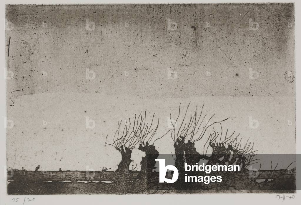 Landschaften oder Landscapes, 1970 (Radierung)