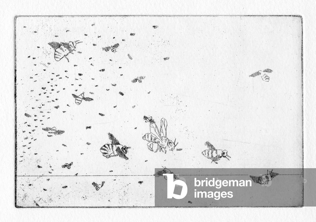 "Ambrose der Imker war in der Nähe" 2011 von Alexander Massouras, b/w
