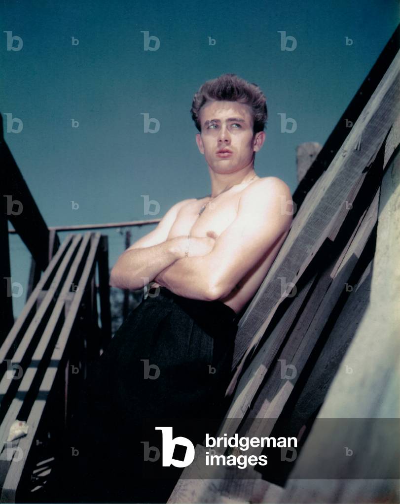 Image of James Dean (1931- 1955) American actor, here 1955