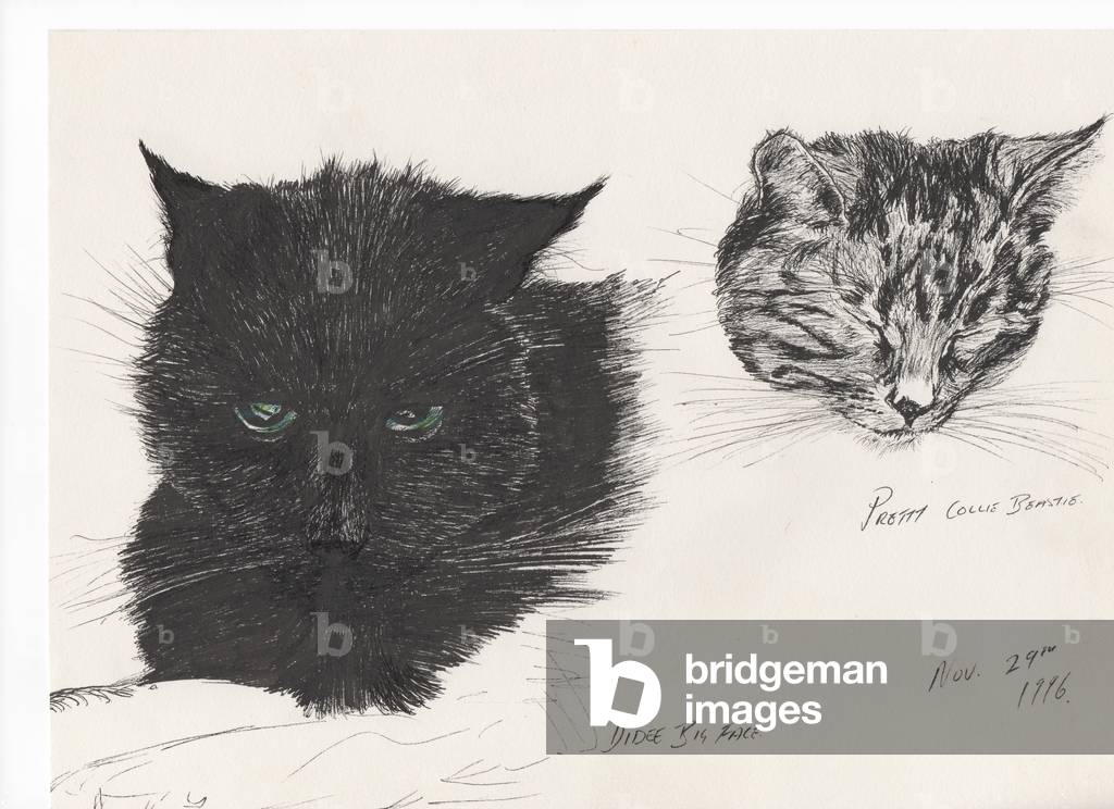 Image of Drawing depicting Diddybigface & colliebeastie 1996 by Vincent Alexander Booth