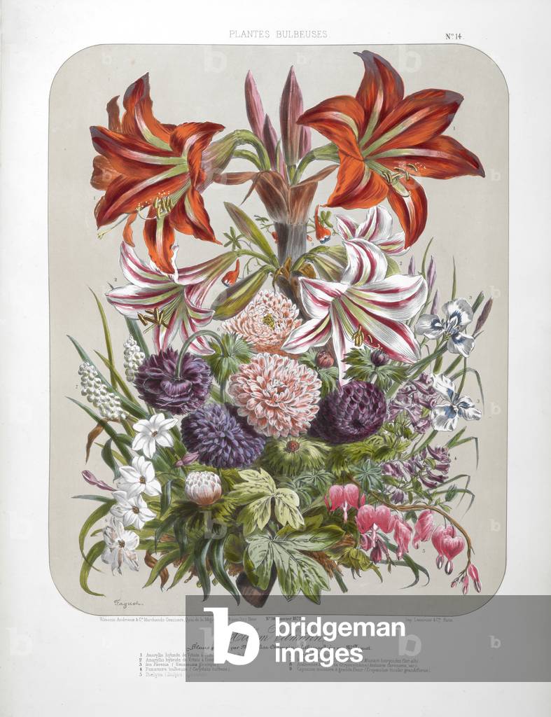 "Un mazzo di fiori tra cui gigli"