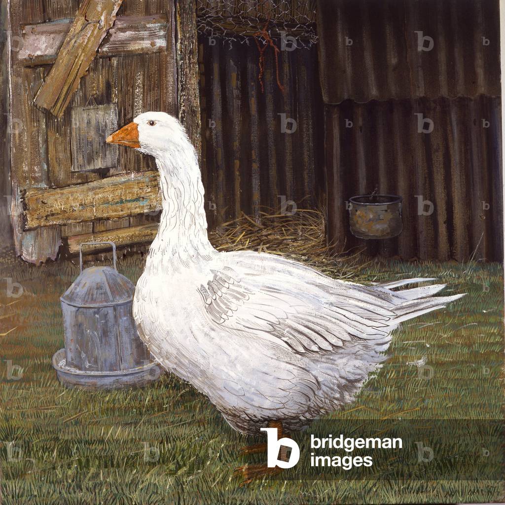 Bild von Gemälde "Gänserich" 2012 von Alex Williams