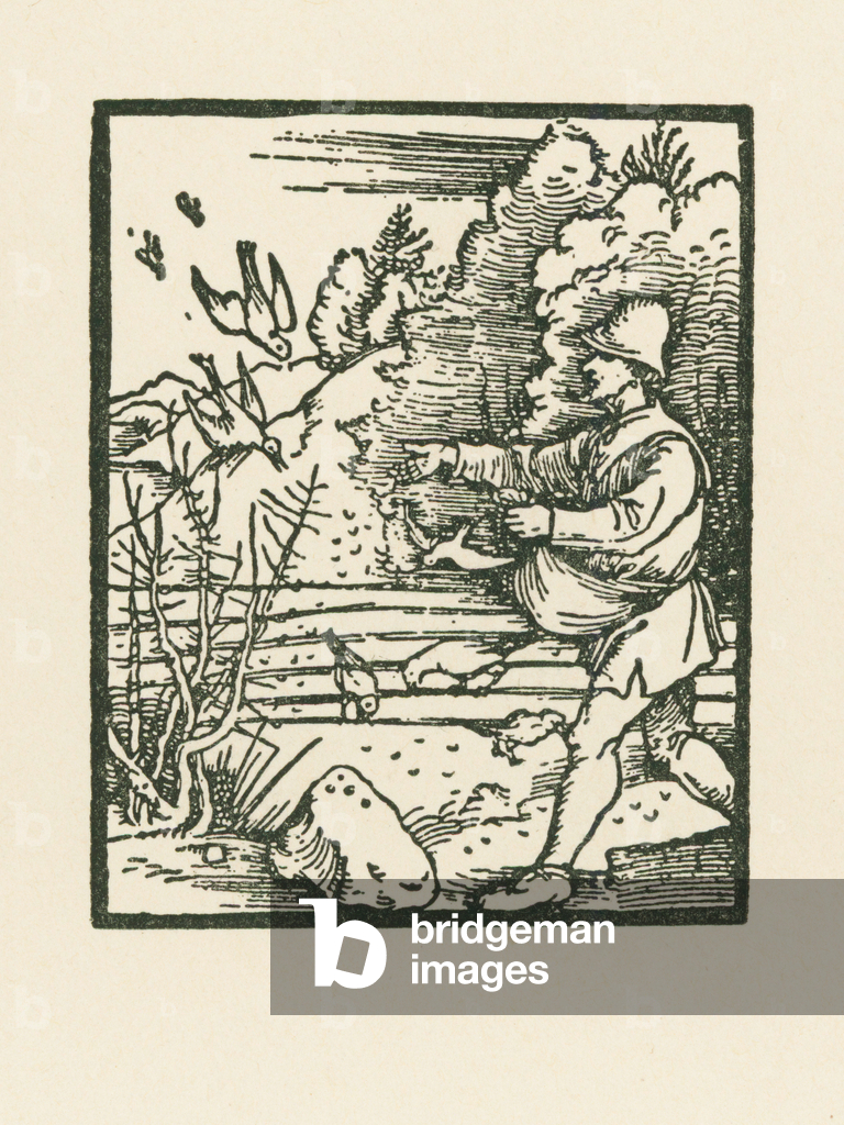 La Parabola del Seminatore, 1510 (xilografia)