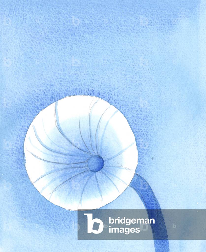 Il cibo che Dio ci mette a disposizione dovrebbe essere visto come combustibile per il nostro viaggio sulla te