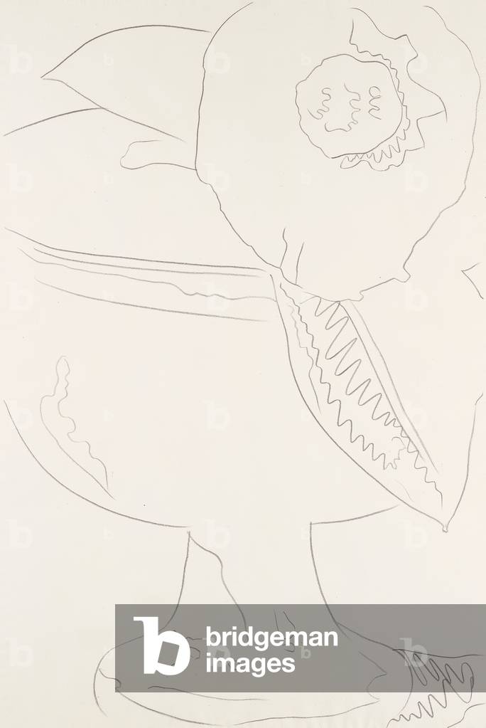 Fiore (# 1-8), 1975 (grafite su carta) (vedi anche 780227-34)