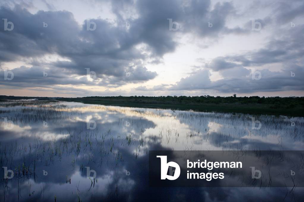 Bild von Fotografie "Everglades National Park (Foto)"