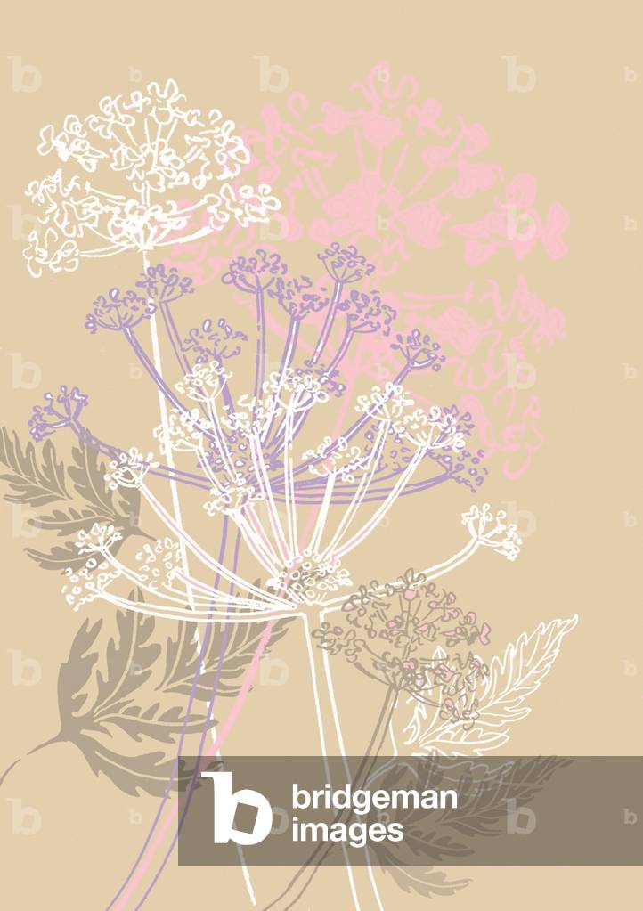 Mucca Prezzemolo, 2013 (immagine digitale mista)