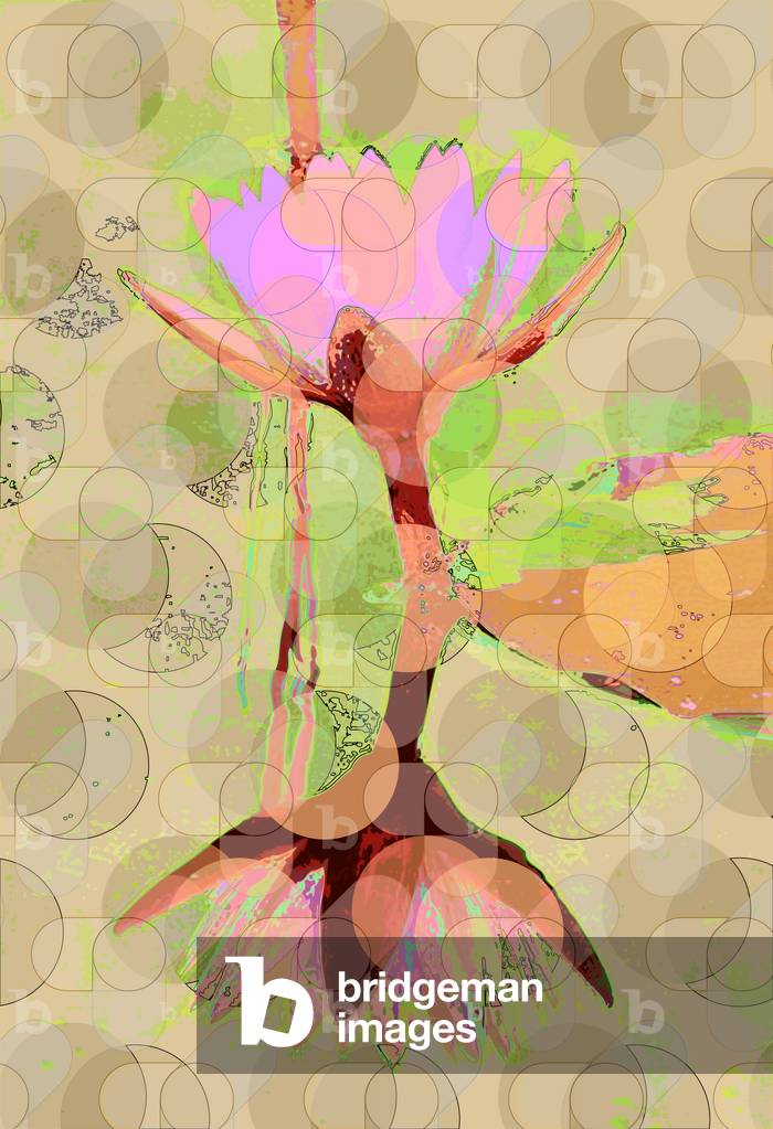 Water Lily Reflection, 2010 (digital)