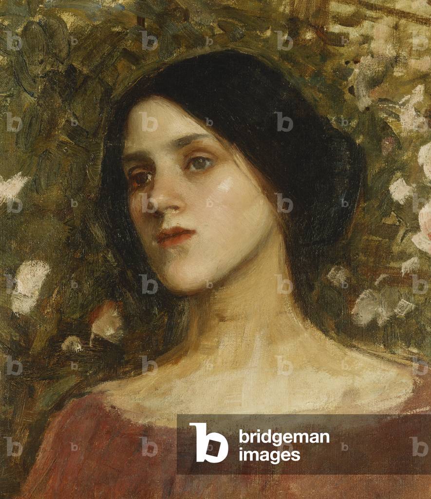 Immagine di Dipinto "il rosa Bower" di John William Waterhouse