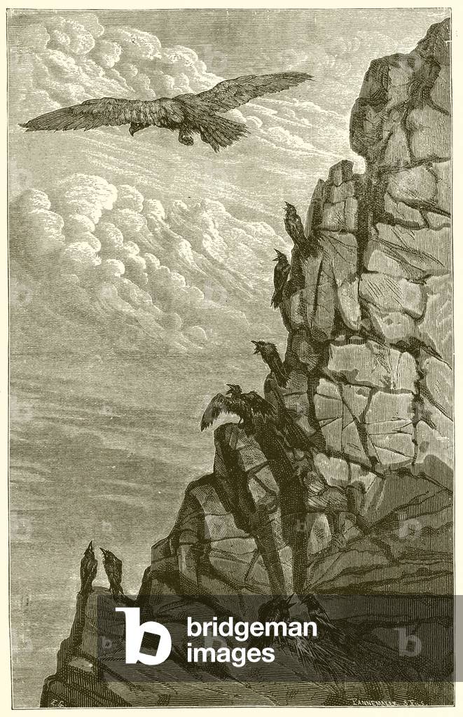 "L'aquila e il corvo (incisione)" di Ernest Henry Griset, b/w