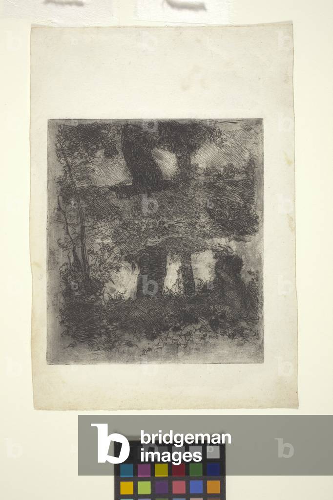 landschaft mit faun und pool (reflektiert landschaft) (Radierung)