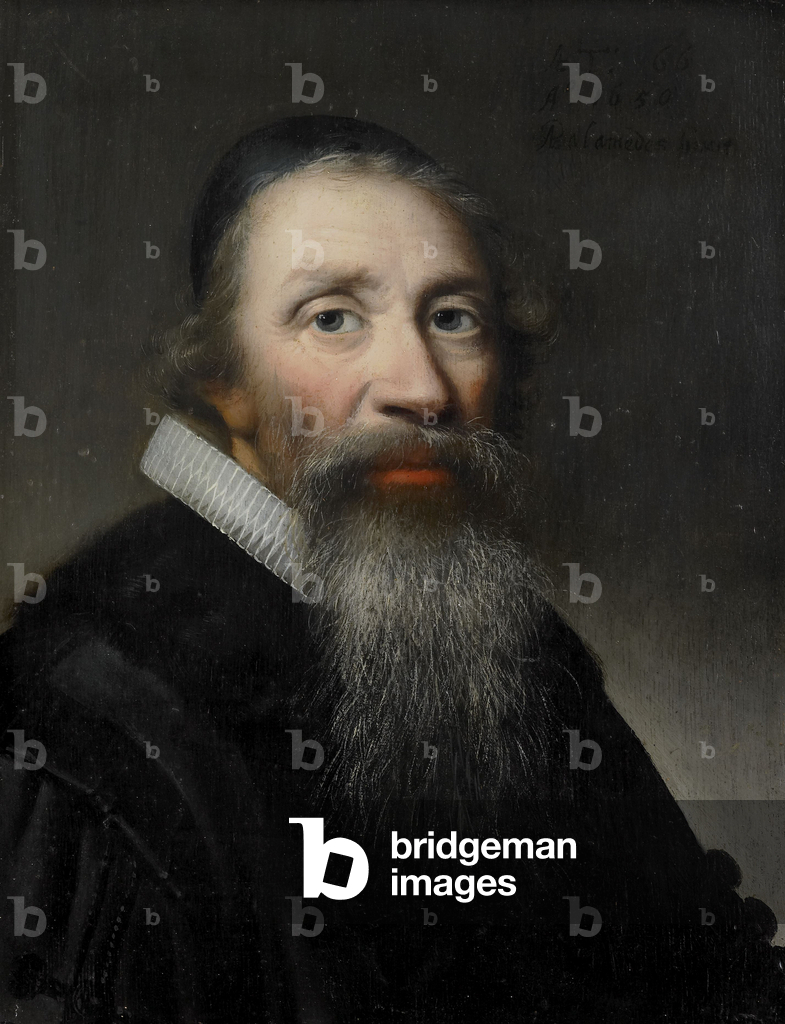 Immagine di Dipinto "Ritratto di uomo" 1650 di Anthonie Palamedesz