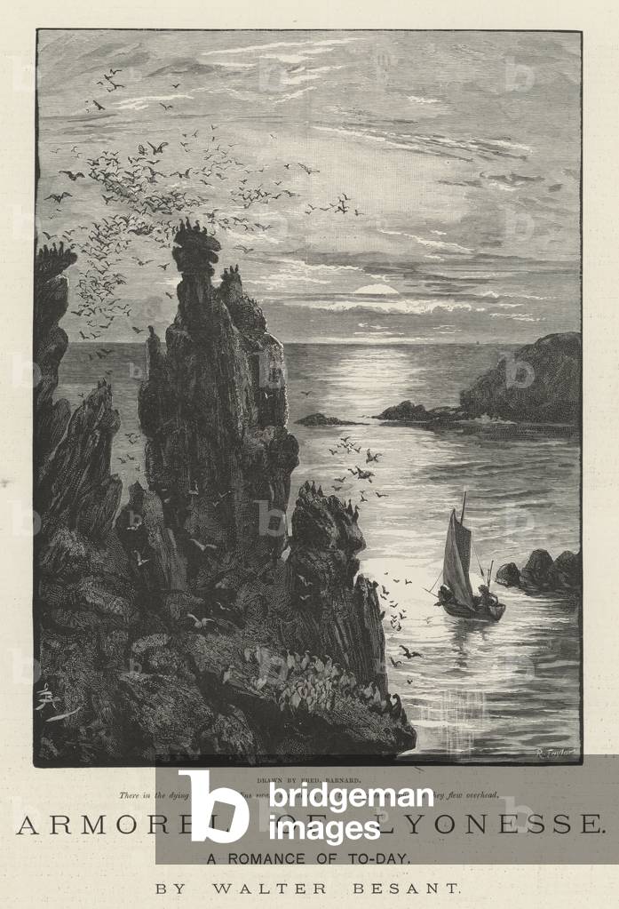 Armorel of Lyonesse by Frederick Barnard, b/w