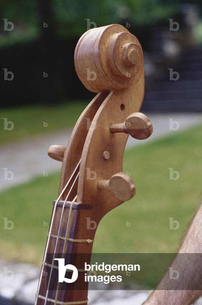 Image of Photography depicting Moxénos cello - a by Kate Mount