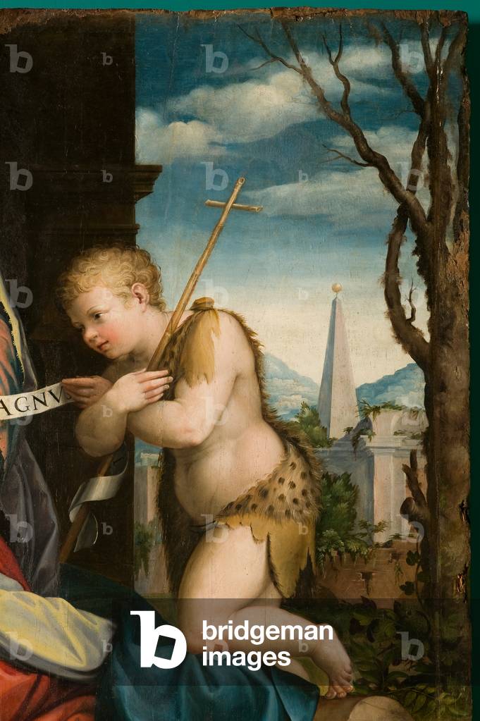 Sacra famiglia con San Giovannino, San Francesco d’Assisi e Sant’Antonio (particolare), c.1537 (olio su tavola