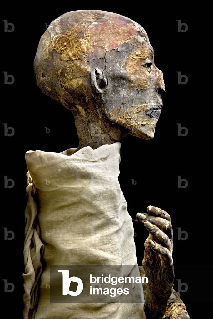 The mummy of Ramesses IV, from the Valley of the Kings, New Kingdom (photo)