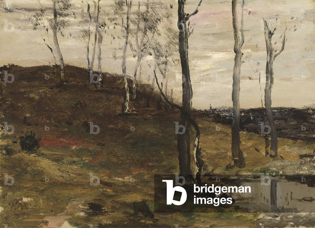 Hillside with Trees, 1872-78 (Öl auf Leinwand)