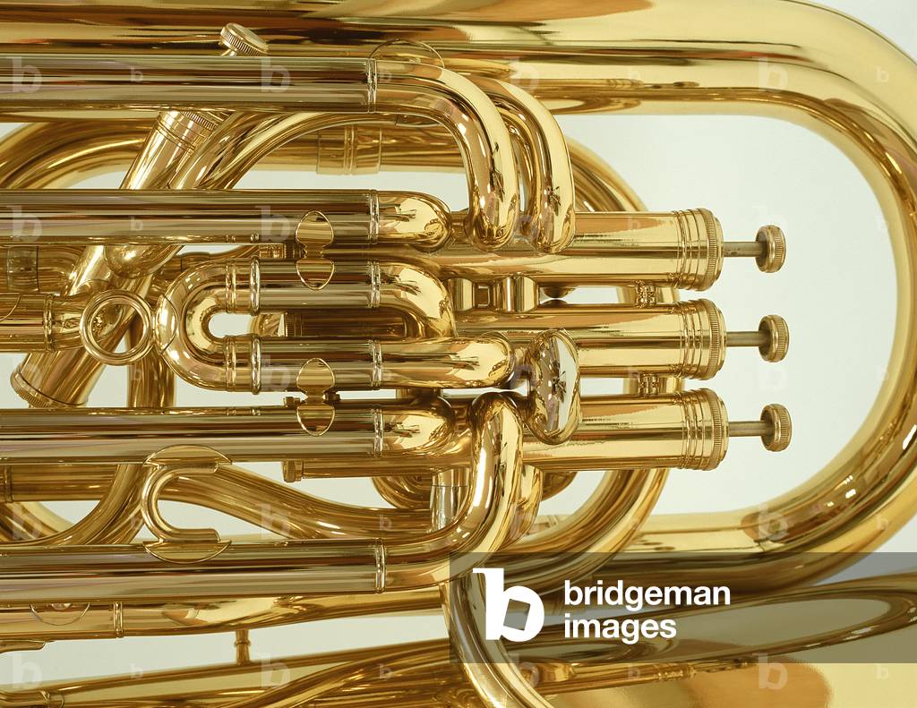 TUBA section Detail showing