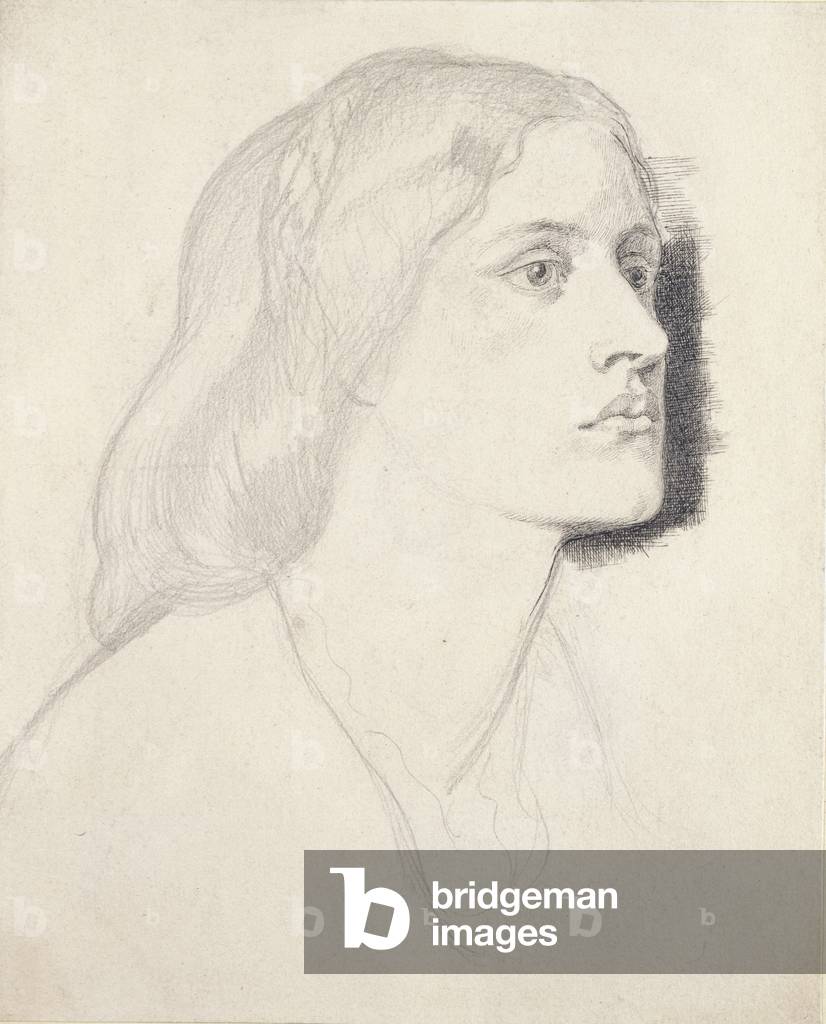 Ritratto di Miss Ruth Herbert, Probabilmente 1858 (grafite con penna e nero inchiostro su carta bianca)