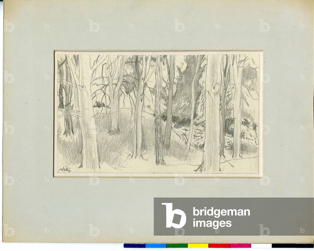 Tronchi d'albero su una collina - Schizzo, 1920-73 circa (matita su carta)