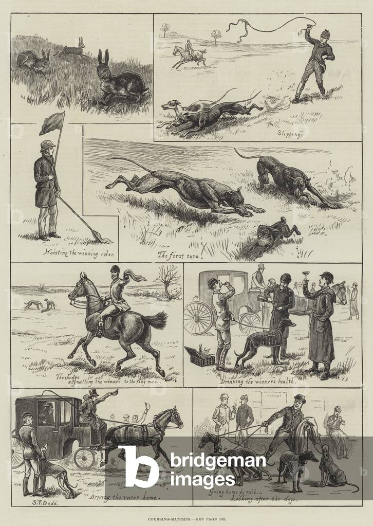 Coursing-Matches (engraving) by S.T. Dadd, b/w