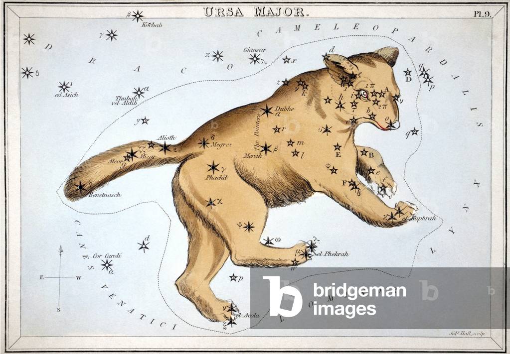 Image of ASTRONOMY URSA MAJOR Astronomical chart showing the Ursa