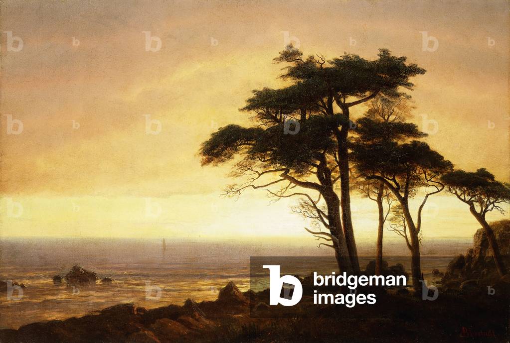 Bild von Gemälde "Kalifornien Küste" von Albert Bierstadt
