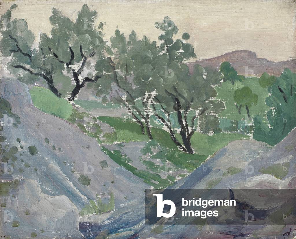 Bild von Gemälde "Oliven in Spanien", 1922-25 von Augustus Edwin John