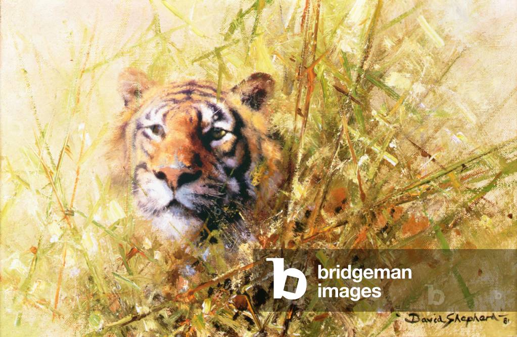 Una tigre (olio su tela)