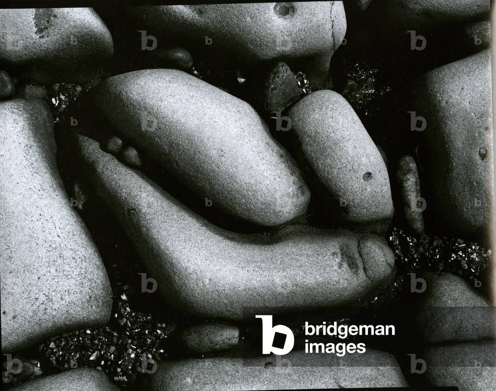 Roccia e Ciottoli, c.1965 (stampa gelatina d'argento)