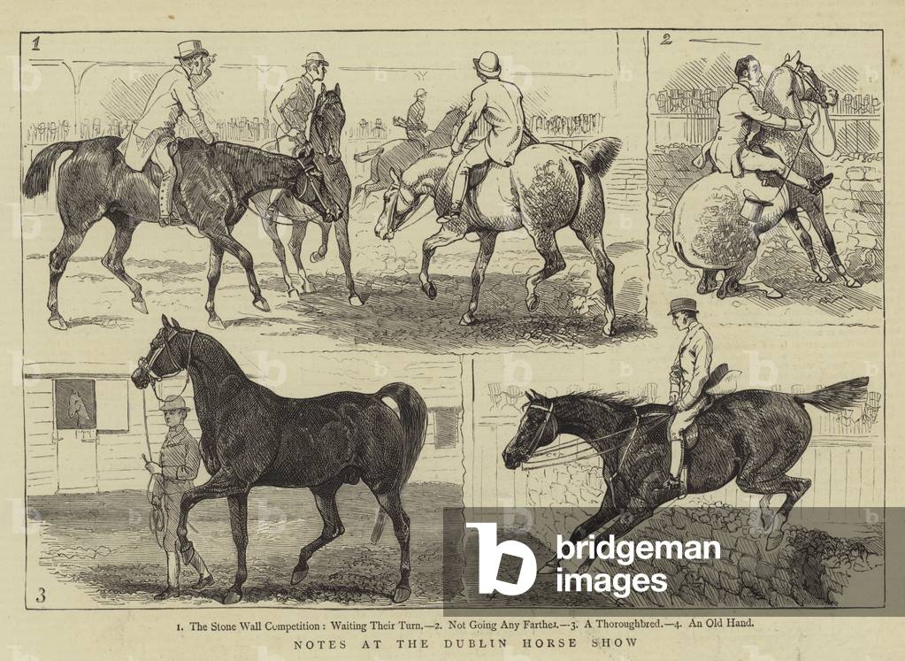 "Note al Dublin Horse Show (incisione)" di English School, b/w