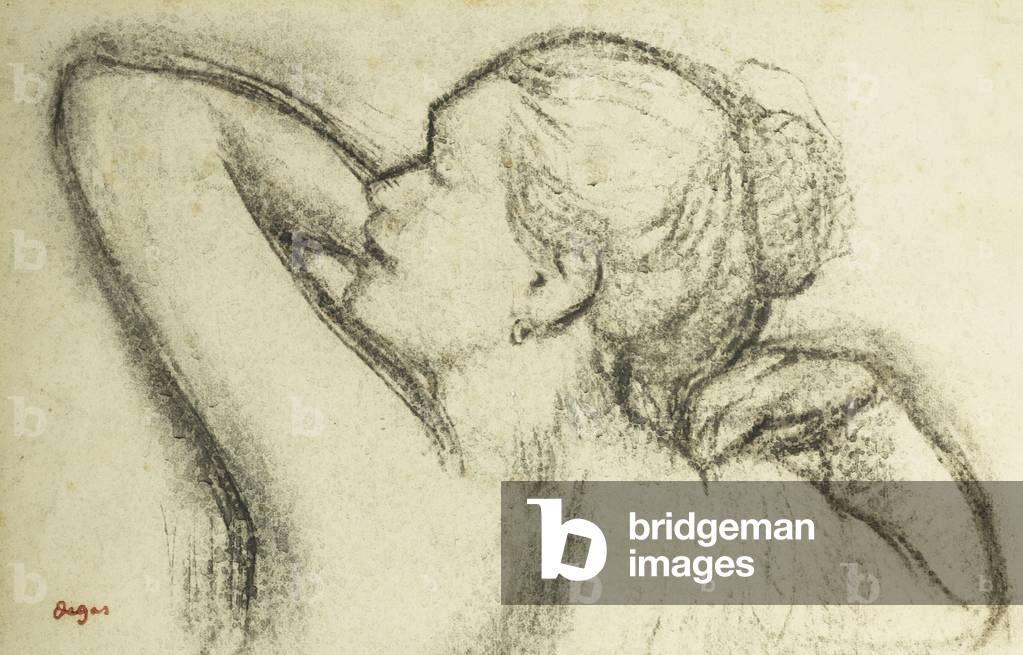 Busto di Donna; Buste de Femme, (carbone e grigio lavaggio su carta)