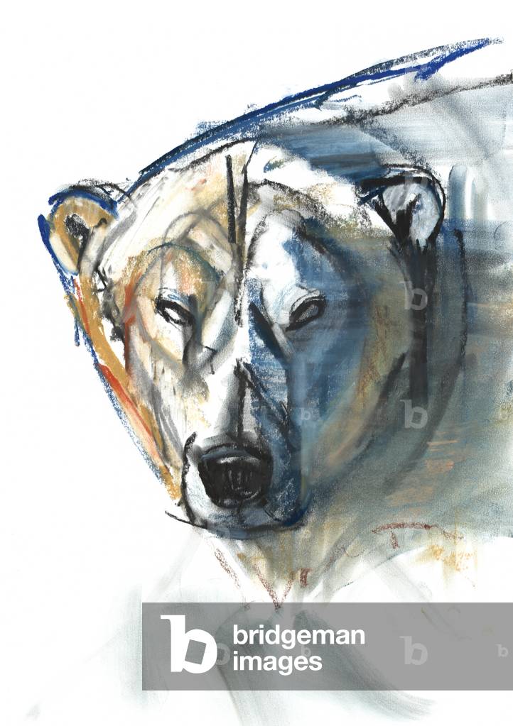 

L'icona arctica, 2015 (conté e pastel su carta)