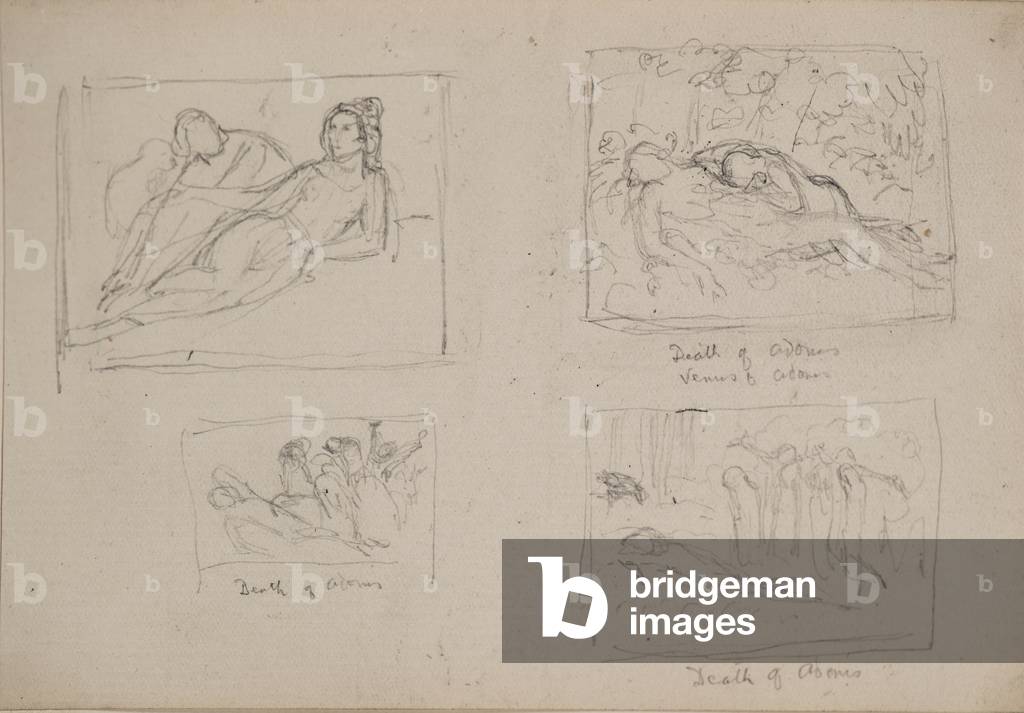 Tod von Adonis (Bleistift)