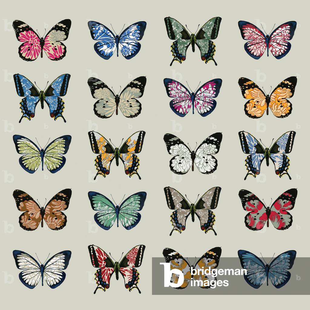 Papillon, 2008 (digital)