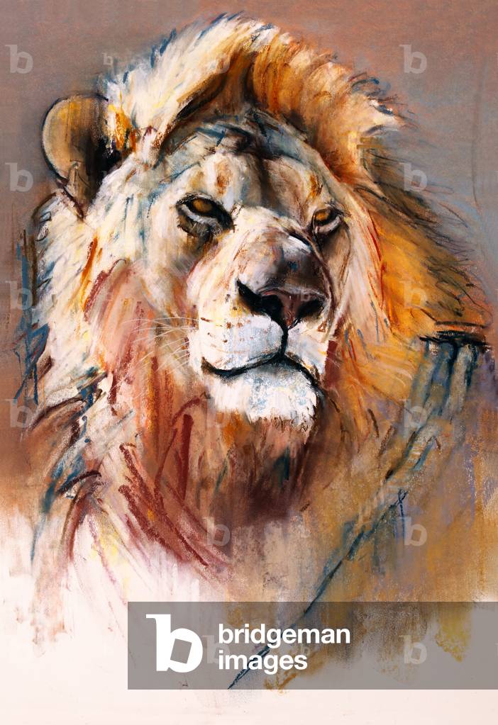 Immagine di Disegno "

Il leone d'argento" 2020 di Mark Adlington