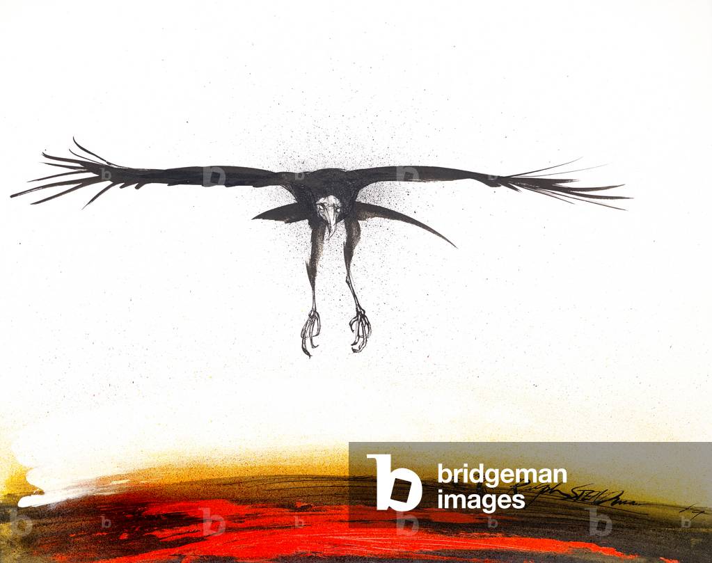 Bild von Zeichnung "Tiere (Vögel) 43" 1984 von Ralph Steadman