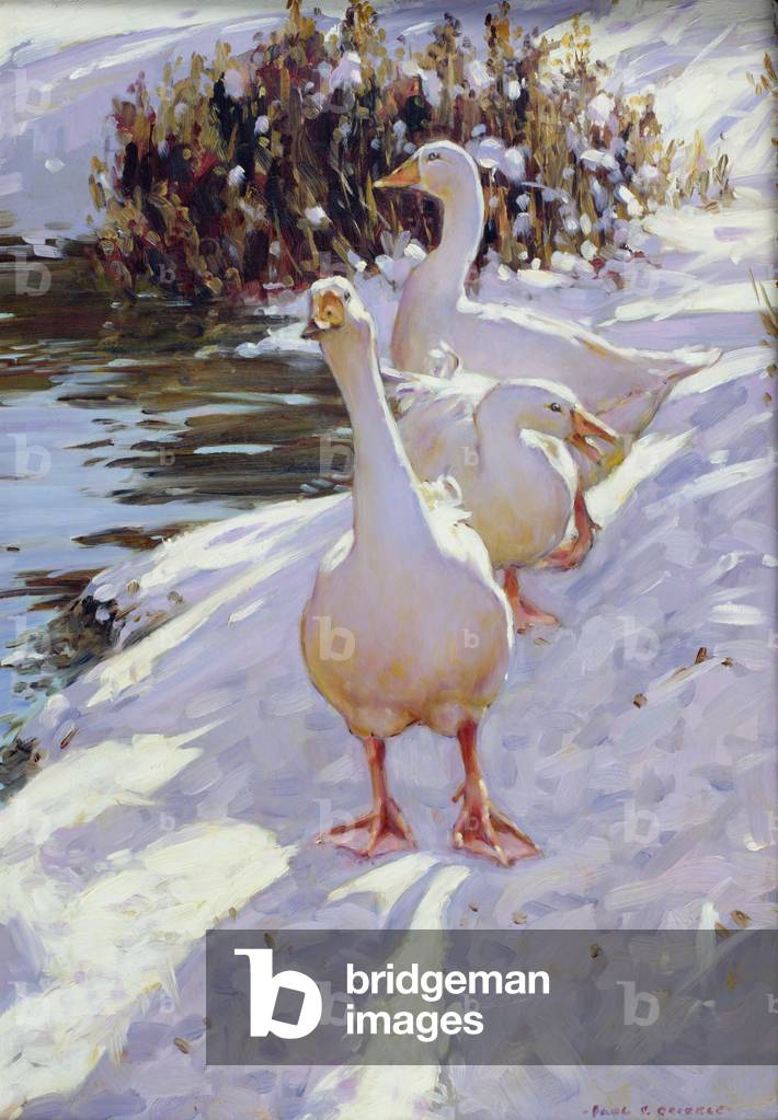 Immagine di Dipinto "Oche nella neve (olio su tela)" di Paul Gribble