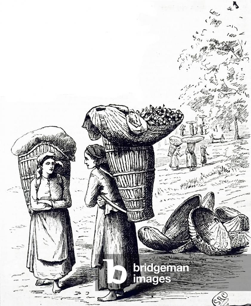 "Ein Stich" 1801