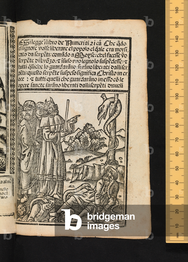Immagine di Incisione "Figure dell'Antico Testamento" 1525