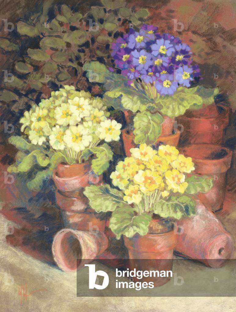 Fiori gialli e blu in piccoli vasi da giardino