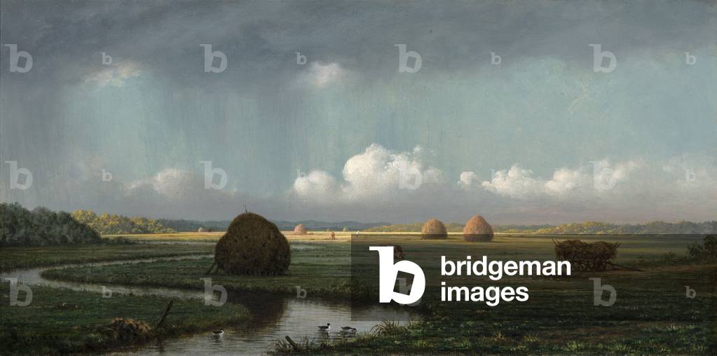 Sudden Shower, Newbury Marshes, 1865-75 (öl auf leinwand)