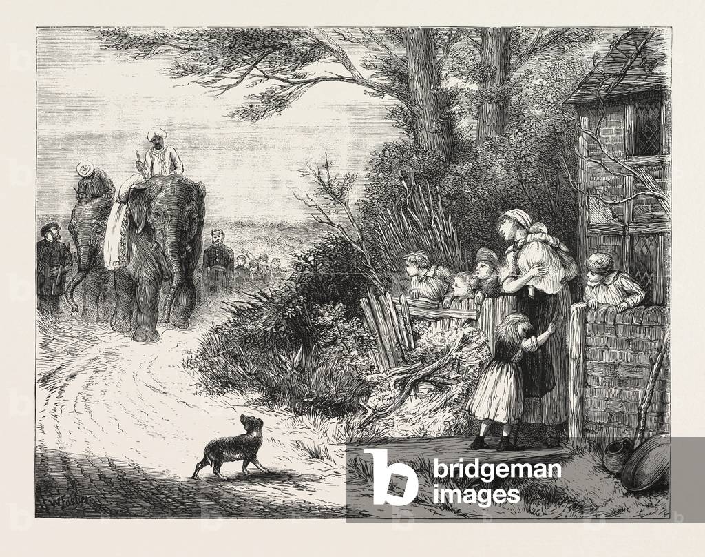 Bild von Gravur "Die Menagerie des Prinzen von Wales"