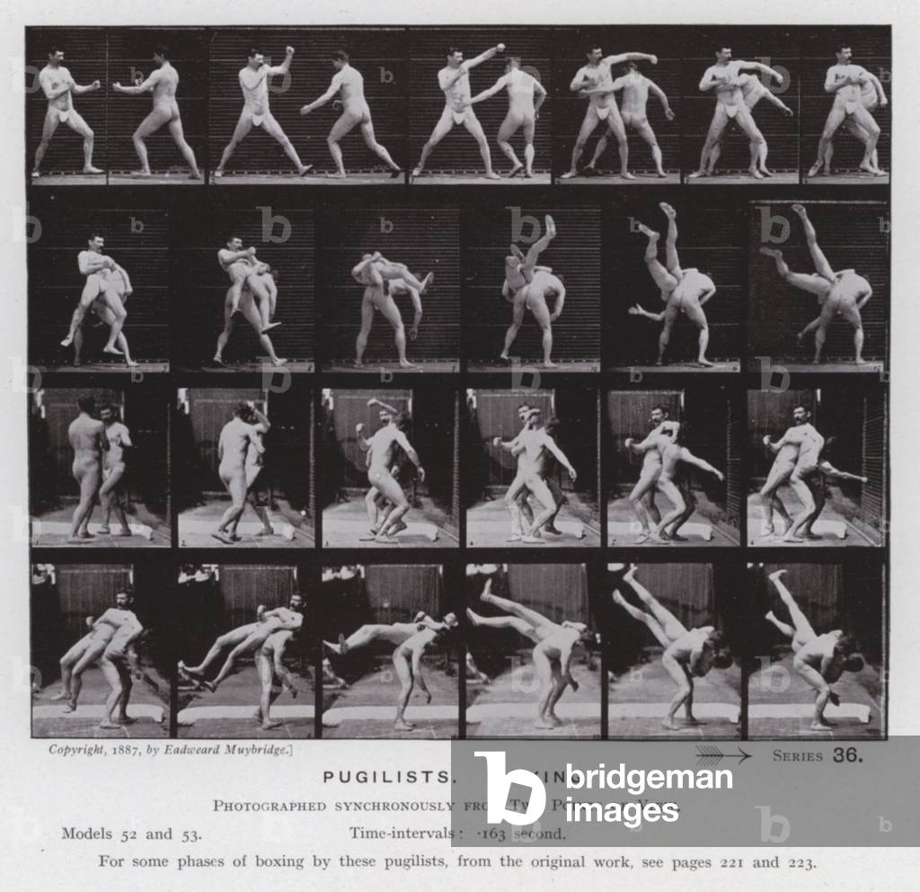 Immagine di Fotografia "La figura umana in movimento: Pugilisti" di Eadweard Muybridge